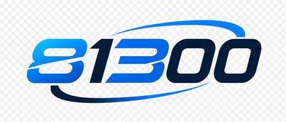 81300